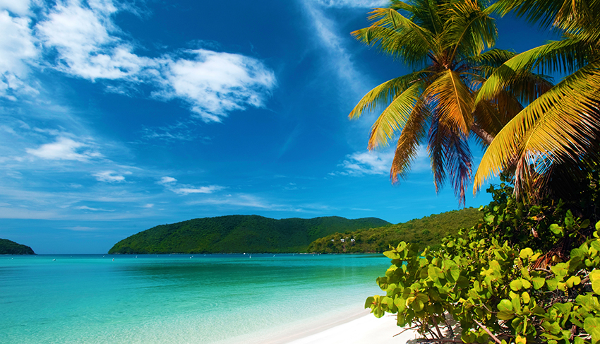 tropical beach paradise