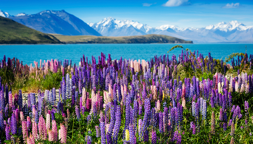 iStock_000033516868_Medium