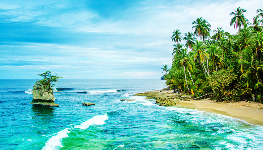 Wild caribbean beach of Costa Rica - Manzanillo