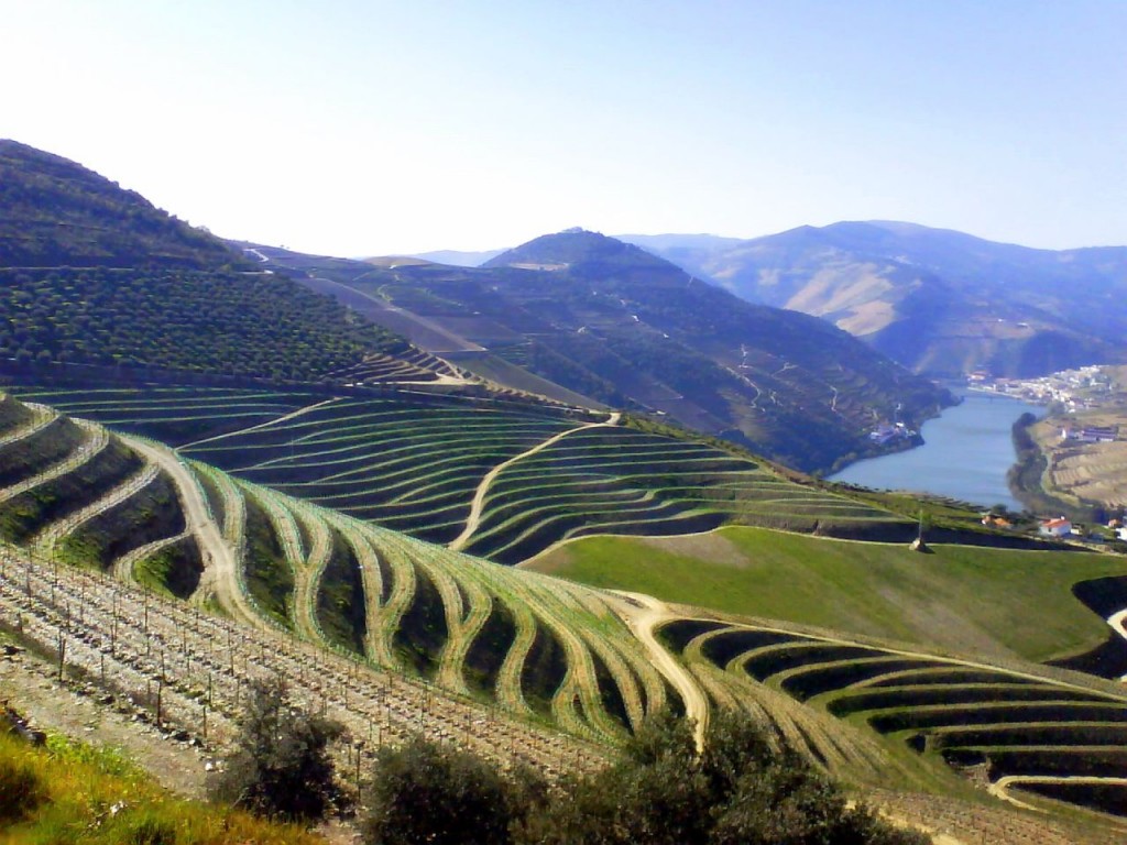 Route des vins minho