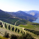 Route des vins minho